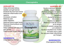 CHANCA PIEDRA PARA CALCULOS Y MAS