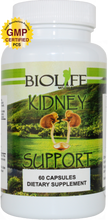 KIDNEY SUPPORT
