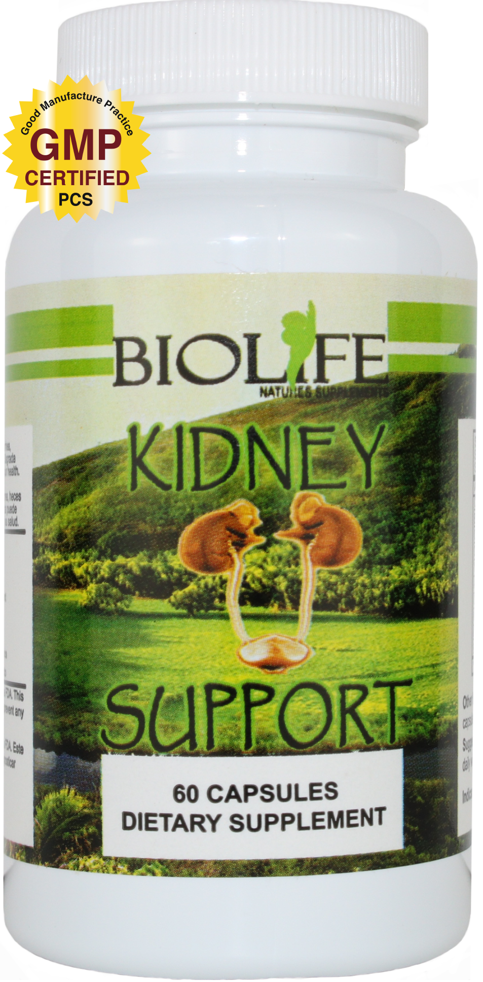 KIDNEY SUPPORT