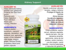 KIDNEY SUPPORT
