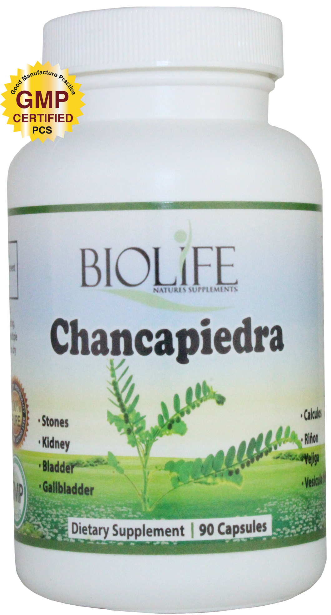 CHANCA PIEDRA PARA CALCULOS Y MAS