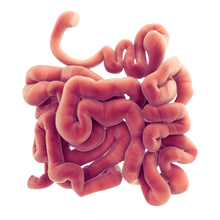 PROBLEMA INTESTINAL 100% NATURAL