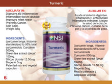 TURMERIC / CURCUMA