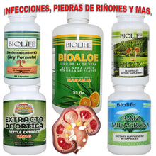 TRATAMIENTO NATURAL PARA LOS RIÑONES, INFECCIONES, PIEDRAS.