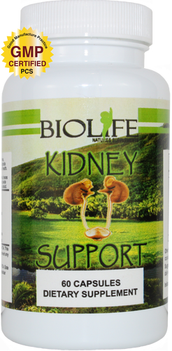 KIDNEY SUPPORT