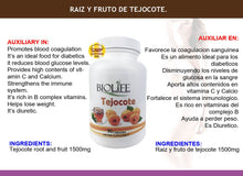 RAIZ Y FRUTO DE TEJOCOTE