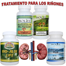 TRATAMIENTO NATURAL PARA RIÑONES