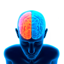 ACERTYL L-CARNITINE