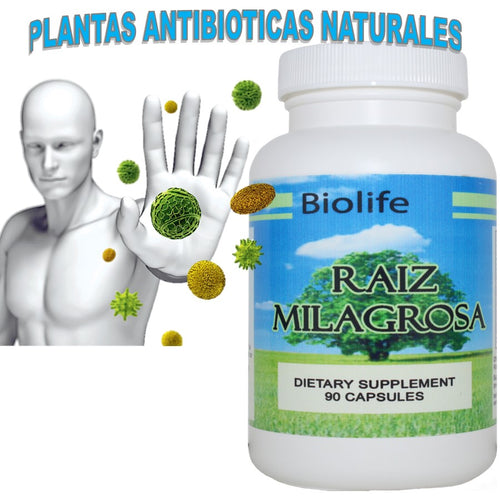 PRODUCTO NATURAL PARA EL CÁNCER, TUMOR, QUISTES ( Raiz Milagrosa)