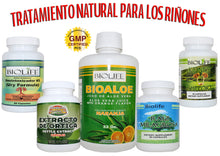 TRATAMIENTO NATURAL PARA LOS RIÑONES, INFECCIONES, PIEDRAS.